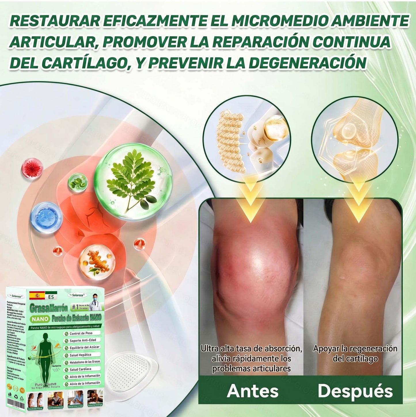 ❄️Tienda oficial | 🍋Solaroza® Moringa & Berberine 10-IN-1 Advanced Nano Microneedle 1 Patch (una vez al día, cambios visibles en 7 días) ✅ obesidad, Diabetes, Apnea del sueño, y problemas articulares