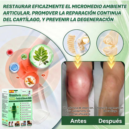 ❄️Tienda oficial | 🍋Solaroza® Moringa & Berberine 10-IN-1 Advanced Nano Microneedle 1 Patch (una vez al día, cambios visibles en 7 días) ✅ obesidad, Diabetes, Apnea del sueño, y problemas articulares