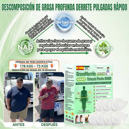 ❄️Tienda oficial | 🍋Solaroza® Moringa & Berberine 10-IN-1 Advanced Nano Microneedle 1 Patch (una vez al día, cambios visibles en 7 días) ✅ obesidad, Diabetes, Apnea del sueño, y problemas articulares