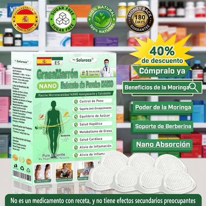 ❄️Tienda oficial | 🍋Solaroza® Moringa & Berberine 10-IN-1 Advanced Nano Microneedle 1 Patch (una vez al día, cambios visibles en 7 días) ✅ obesidad, Diabetes, Apnea del sueño, y problemas articulares